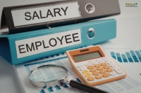 Should Small Businesses Automate Payroll or Outsource It?