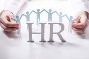 Does Your Small Business Need an HR Department?